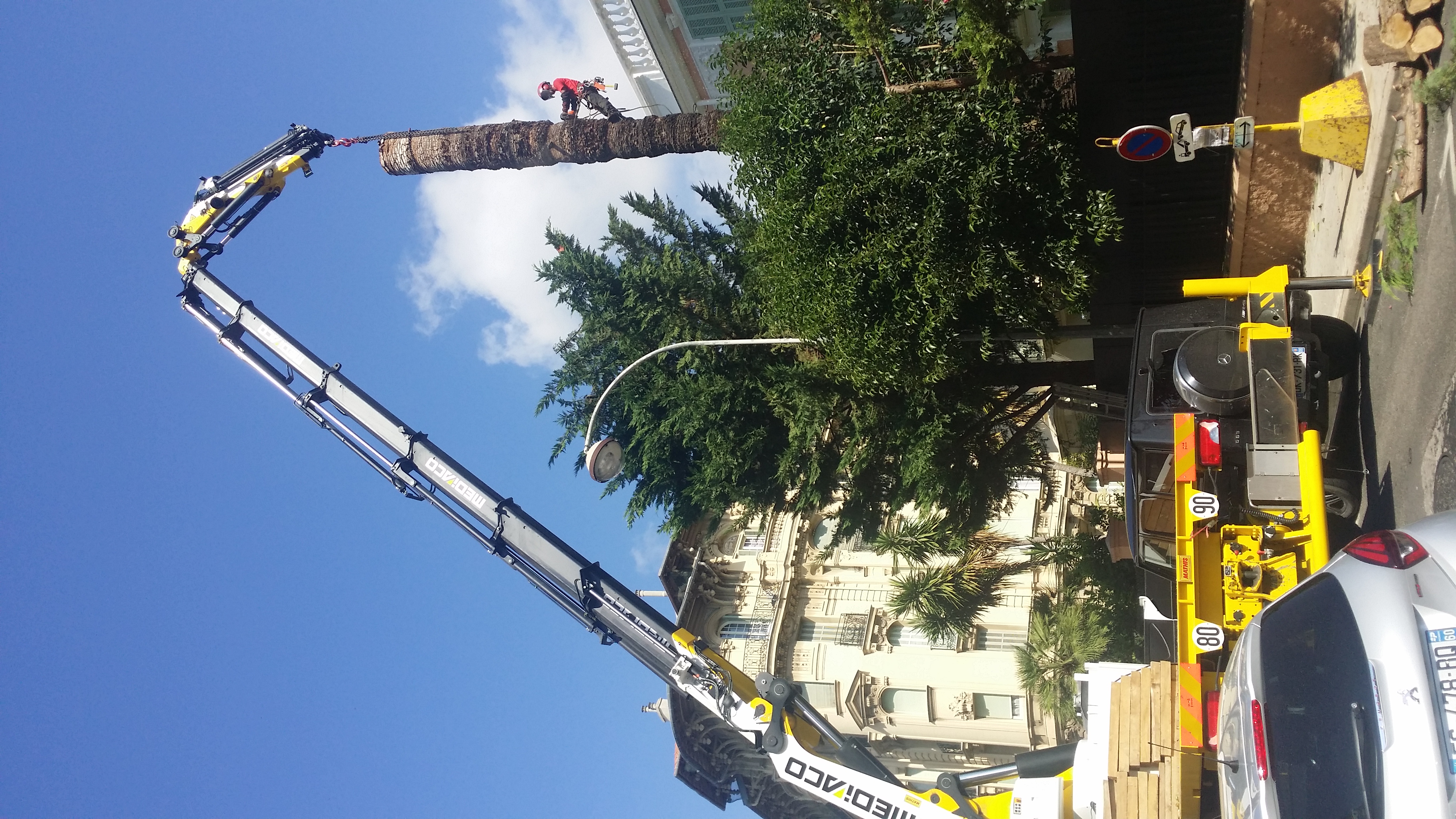 Abattage palmier par grutage Nice Nazarian Espaces Verts